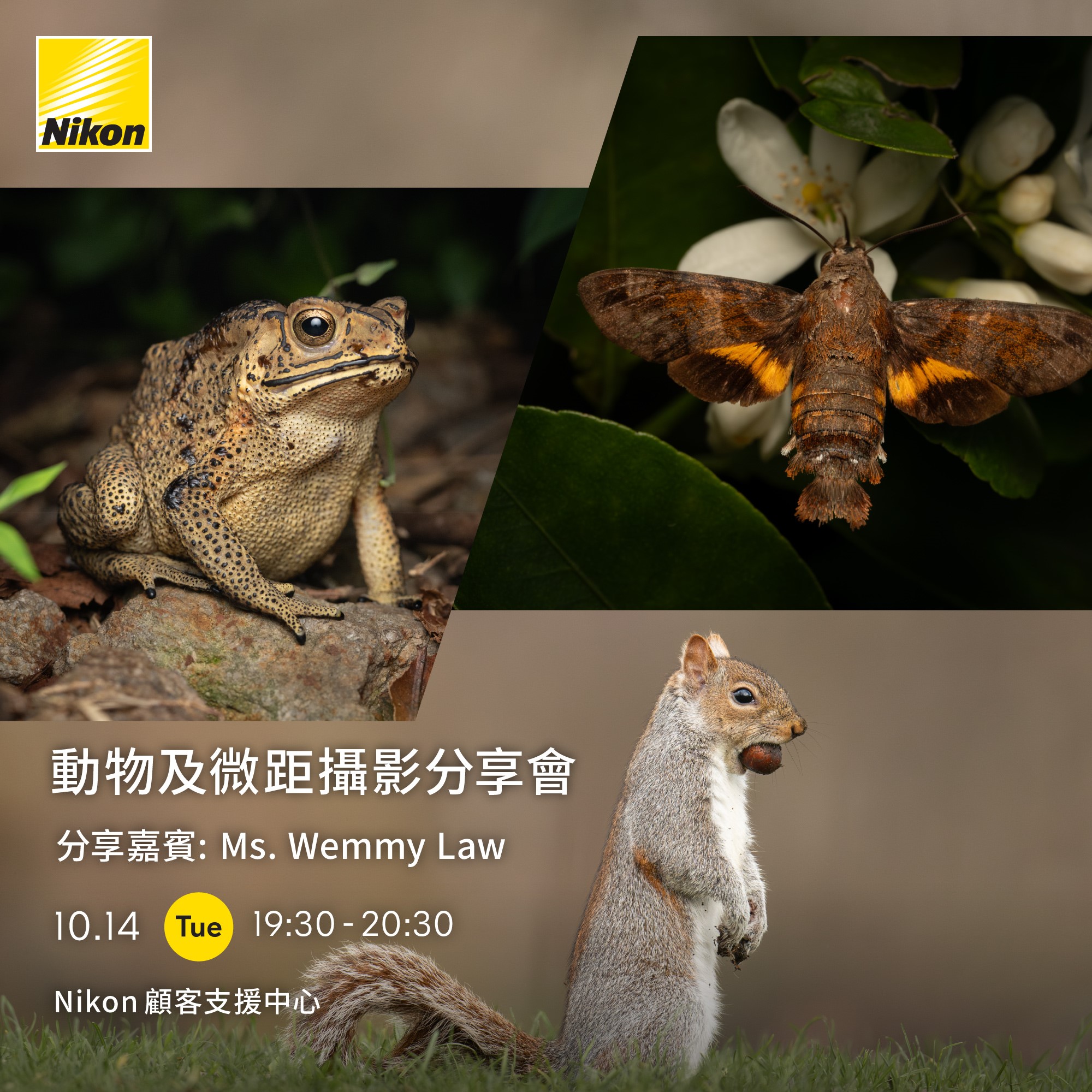 動物及微距攝影分享會